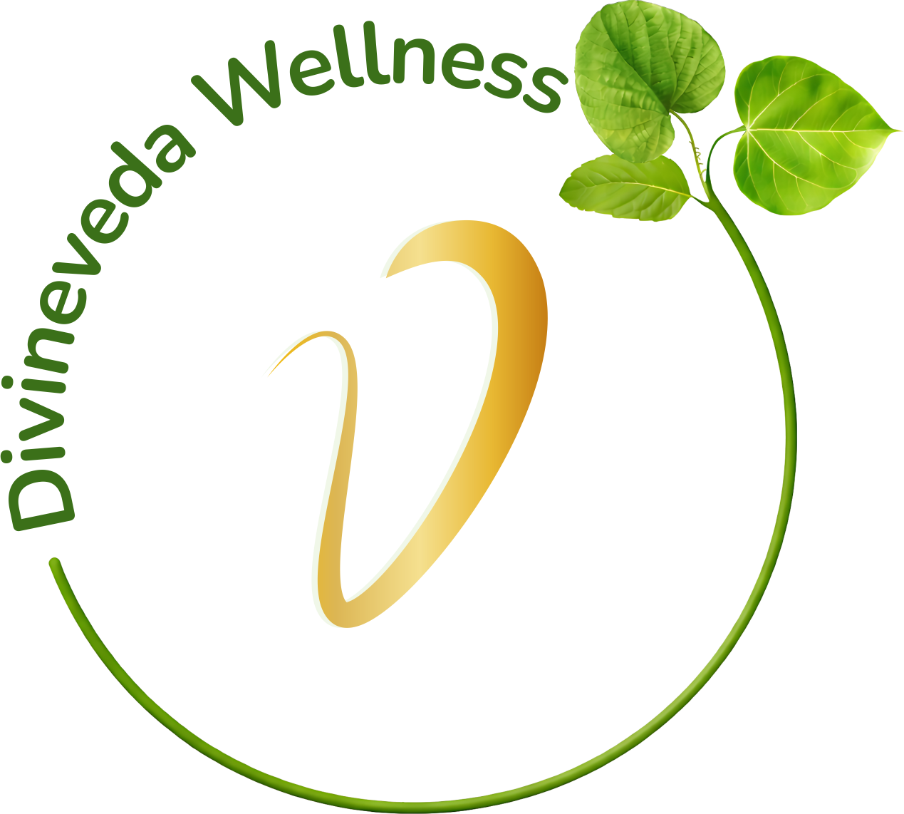 Divineveda Wellness logo